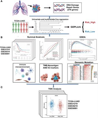 GDPLichi: a DNA Damage Repair-Related Gene Classifier for Predicting Lung Adenocarcinoma Immune Checkpoint Inhibitors Response